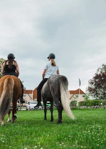Ridning tirsdag - Klik for at tilmelde dig