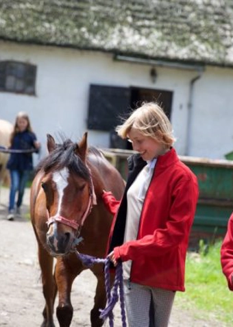 Islænder ridning onsdag - Klik for at tilmelde dig