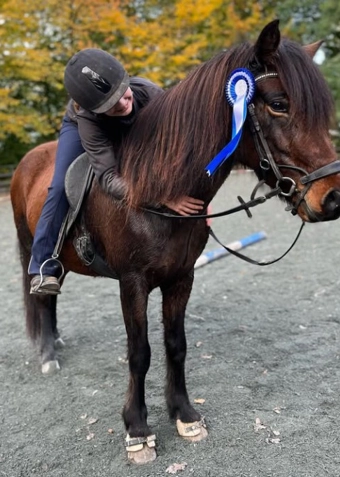 Islænder ridning tirsdag - Klik for at tilmelde dig