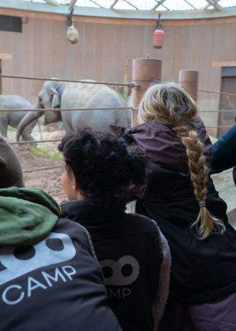 ZOO Camp lørdag - Klik for at tilmelde dig