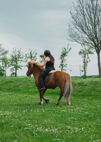 Ridning fredag - Klik for at tilmelde dig