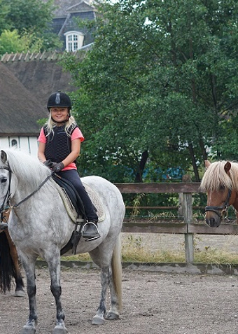 Islænder ridning mandag - Klik for at tilmelde dig