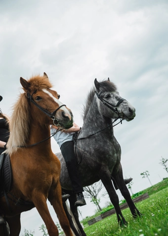 Ridning onsdag - Klik for at tilmelde dig