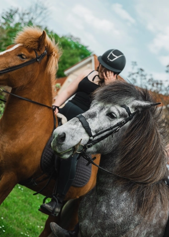 Ridning torsdag - Klik for at tilmelde dig