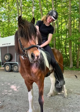 Islænder ridning fredag - Klik for at tilmelde dig