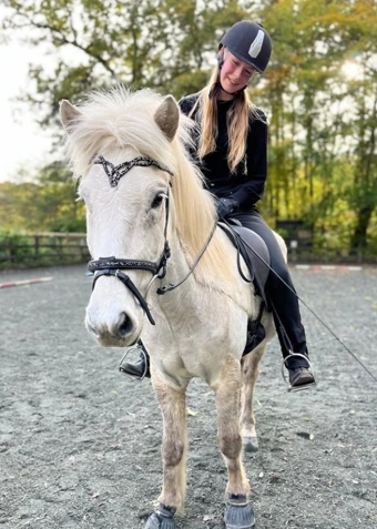 Islænder ridning mandag - Klik for at tilmelde dig