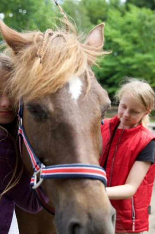 2 piger står ved en hest